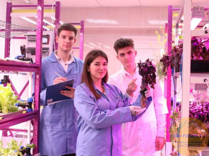 Первую в СКФО лабораторию вертикального земледелия для горожан запустили в Ставрополе