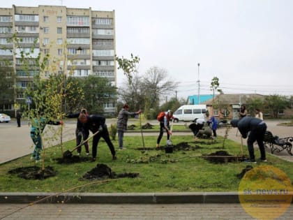 Добровольцы проекта «Эко-субботник» помогли высадить в Ставрополе более 250 новых деревьев