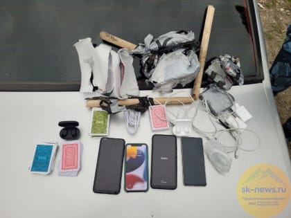 В колонию строгого режима в Кочубеевском мужчина хотел перебросить наркотики и гаджеты