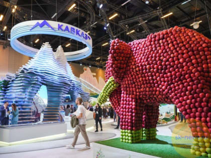 К концу 2025 года планируют реализовать проект по добыче вольфрама и молибдена в Тырныаузе