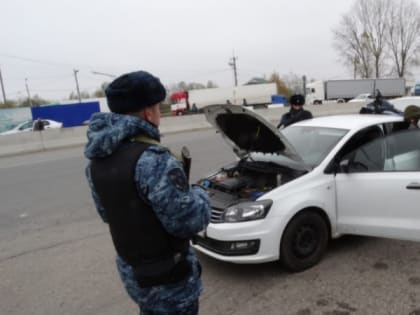 Почти полкило синтетических наркотиков изъяли правоохранители в КБР