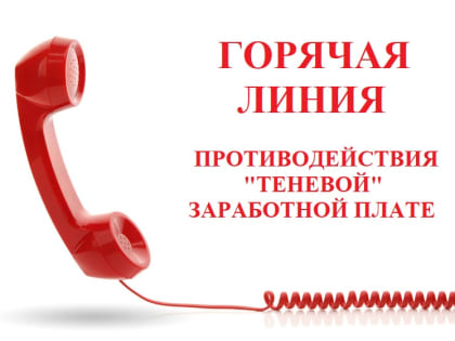 «Горячая линия» по вопросам неформальной занятости населения  и легализации трудовых отношений