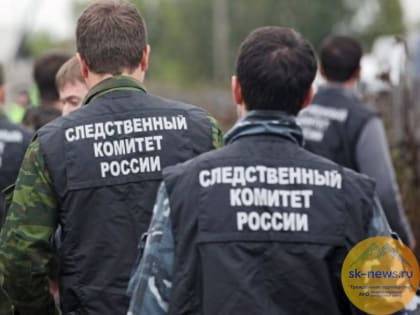 По распространенной в соцсетях информации о гибели женщины в автобусе следком РСО-Алания  возбудил уголовное дело