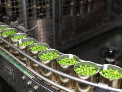 В КБР заготовлен зеленый горошек на зиму