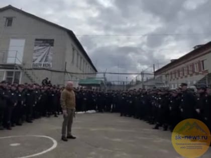 Совет Федерации РФ разработал законопроект об участии заключенных в спецоперации