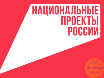 Гранты по проекту «Профессионалитет» получат 70 колледжей России