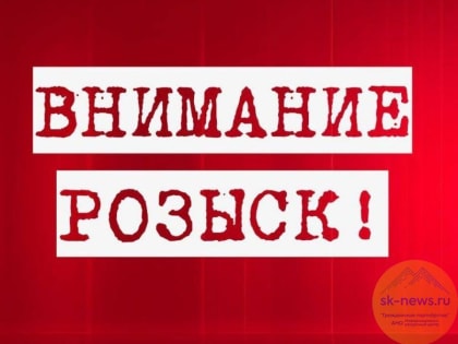 Пропавшие в Ессентуках братья-близнецы спустя неделю обнаружены погибшими