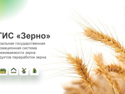 Внесение данных во ФГИС «Зерно» будет обязательным с 1 сентября