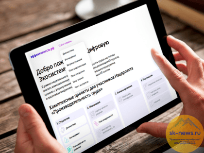 О главной задаче платформы эффективность.рф рассказали в минэкономразвития Ставрополья