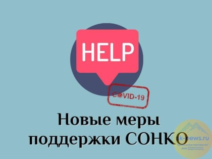 Социально ориентированные НКО могут воспользоваться новыми мерами поддержки