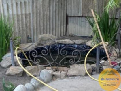 В декоративном прудике частного домовладения Прасковеи утонула годовалая малышка