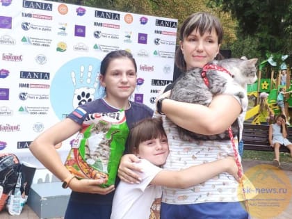 В Кисловодске 27 бездомных животных нашли своих хозяев