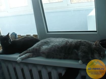 Органы местного самоуправления на Ставрополье должны до 15 ноября получить паспорта готовности