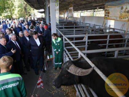 Делегация Антрацитовского района ЛНР участвовала в выставке «Урожай-2023» в Михайловске