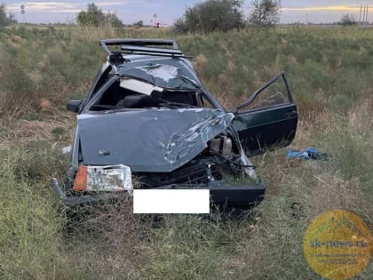 В аварии с вышедшей на дорогу коровой на Ставрополье пострадали три человека