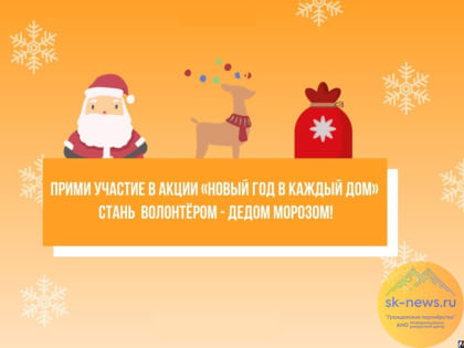 Волонтеры Ставрополья присоединятся ко Всероссийской акции «Новый год в каждый дом»