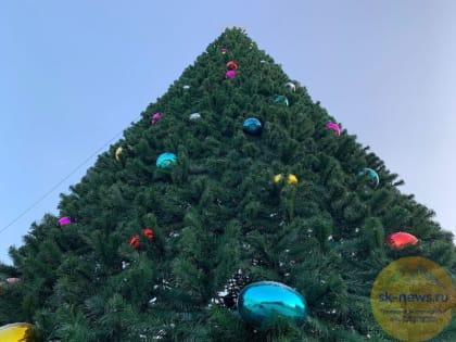 В Предгорном округе установят на Новый год 23 ёлки