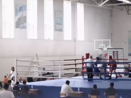 Юные боксеры Кабардино-Балкарии завоевали 23 золотые медали на открытом  турнире