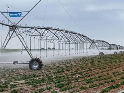 Два урожая в год благодаря современной мелиорации