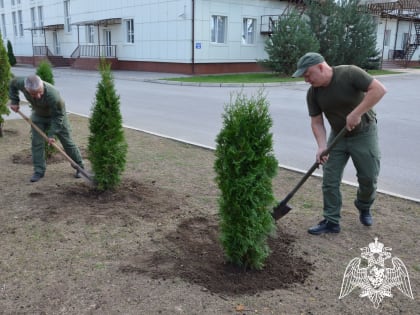В АКЦИИ «ДРЕВО СТАЛИНГРАДА» ПРИНЯЛИ УЧАСТИЕ РОСГВАРДЕЙЦЫ ИЗ КАБАРДИНО-БАЛКАРИИ