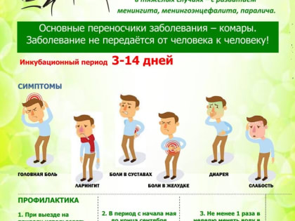 Профилактика лихорадки Западного Нила