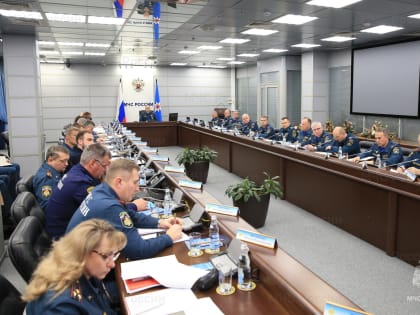 Вопросы совершенствования деятельности РСЧС обсудили на заседании Правкомиссии