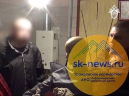 Мужчине из Ставрополья назначили 8 лет лишения свободы за причинение смертельных травм своей матери