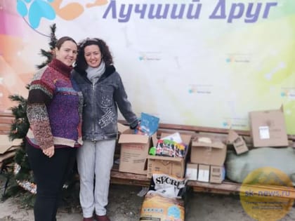 Приюту «Лучший друг» в Ставрополе помогли волонтёры краевого минэкономразвития
