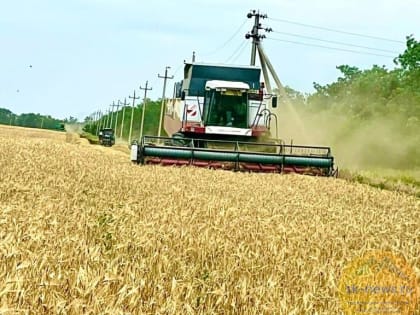 Ставрополье с уверенностью смотрит на урожай 2023 года