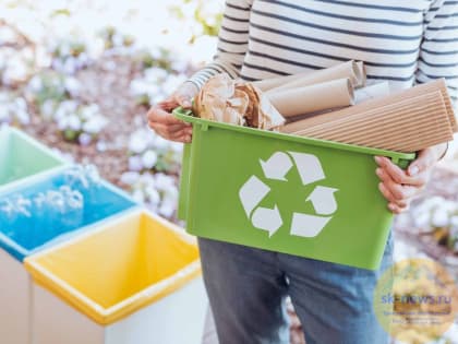 Эксперты Всероссийского общества охраны природы подготовили инициативы в сфере экологии