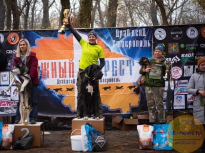 В Мамайской даче Ставрополя в ездовом спорте соревновались четвероногие любимцы горожан