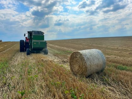 В Баксанском районе идет уборка колосовых