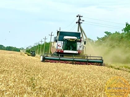 На поддержку ставропольских аграриев при покупке ГСМ направили 300 млн рублей