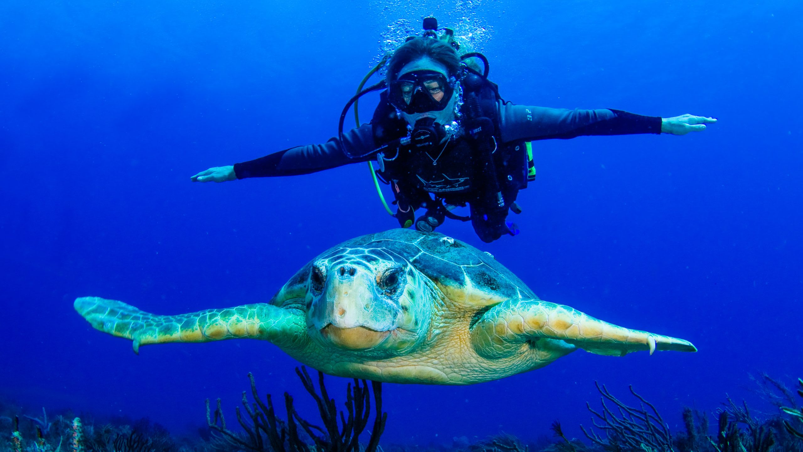 Scuba Diving