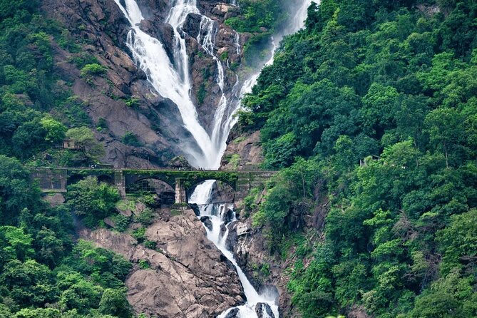 Dudhsagar Trip
