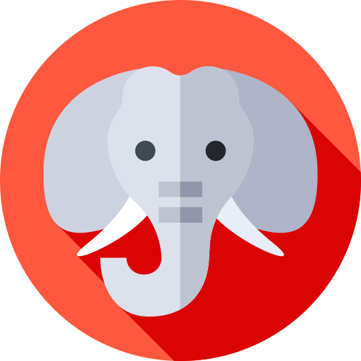 PostgreSQL