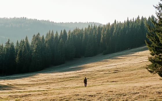 Retreat gegen Burnout: Wege aus der Erschöpfung finden