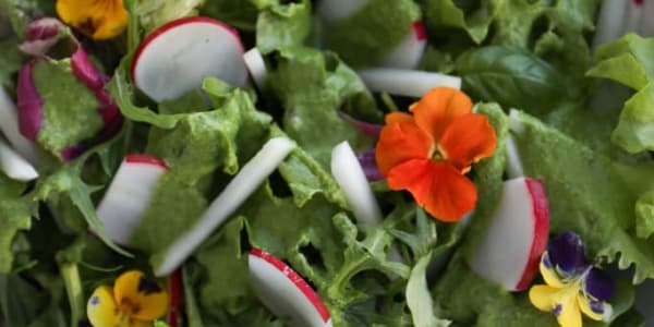 Rezept von Apricus - Frühlingssalat mit grünem Smoothie
