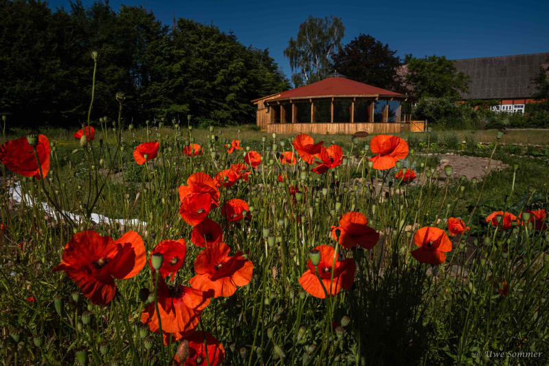 Außenansicht des Seminarraumes Mandala im Seminarhof Drawehn, auf einem grünen Feld mit Mohnblumen