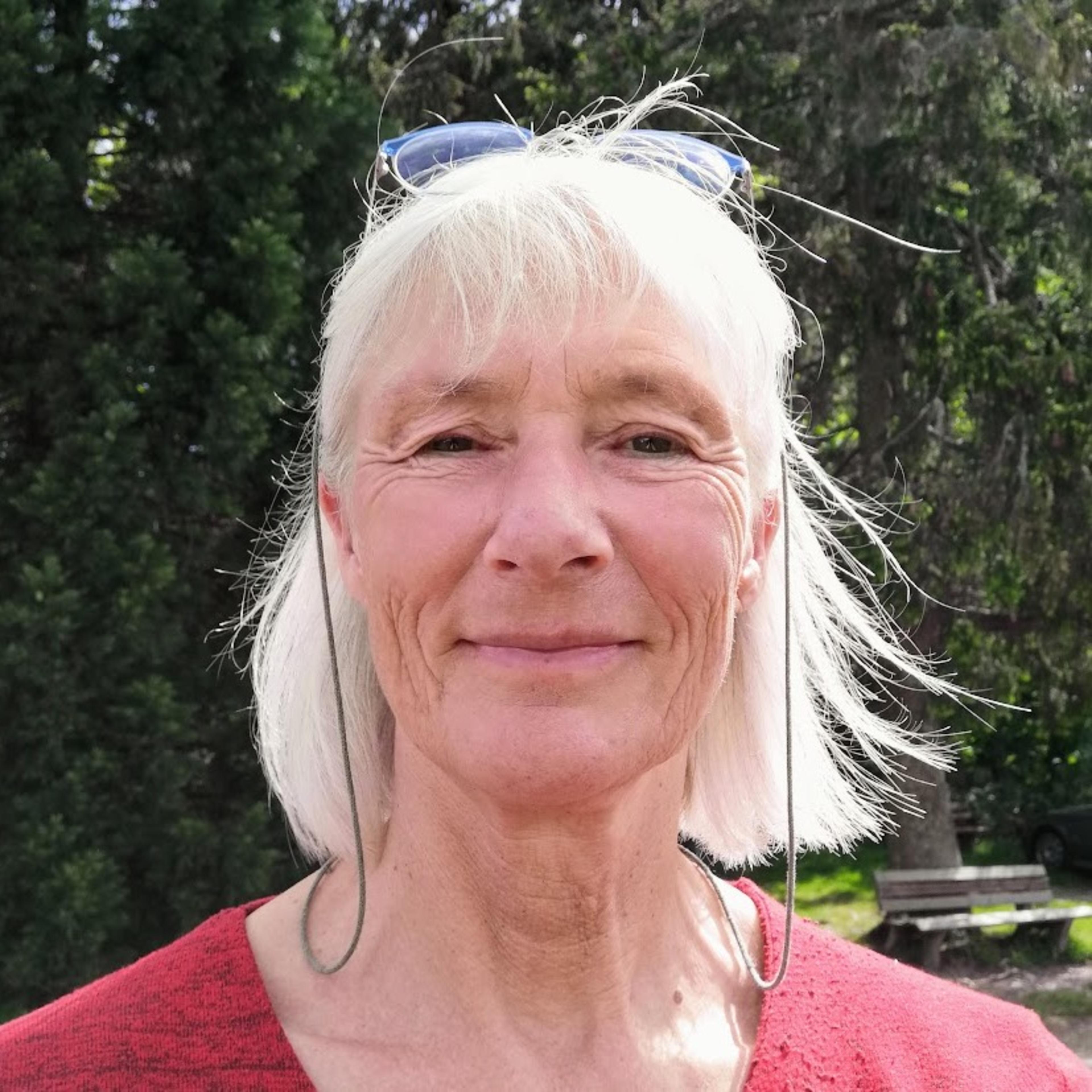 Heide Steiner