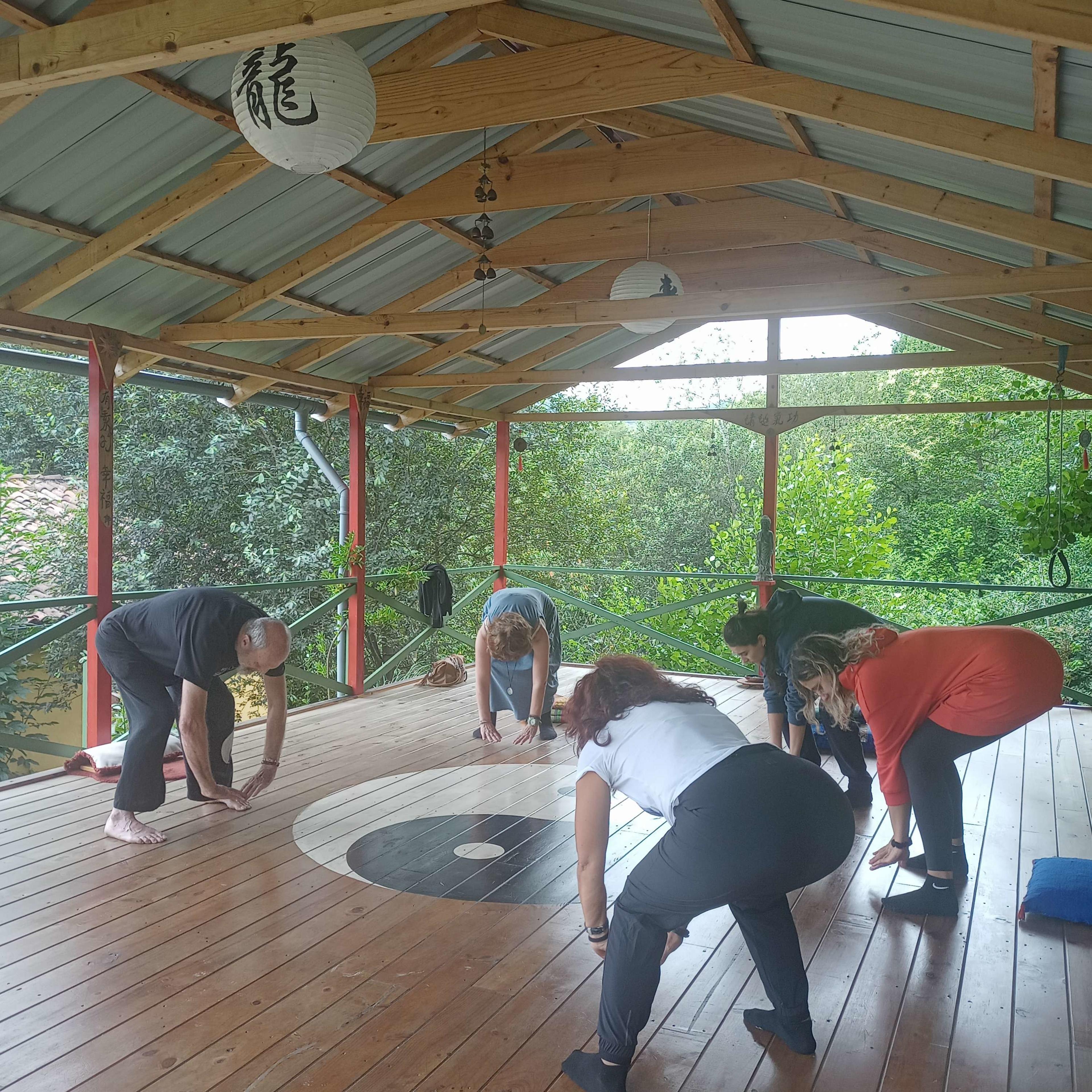  International Qigong Instructor Certification, 8 days in Spain. slider image 3