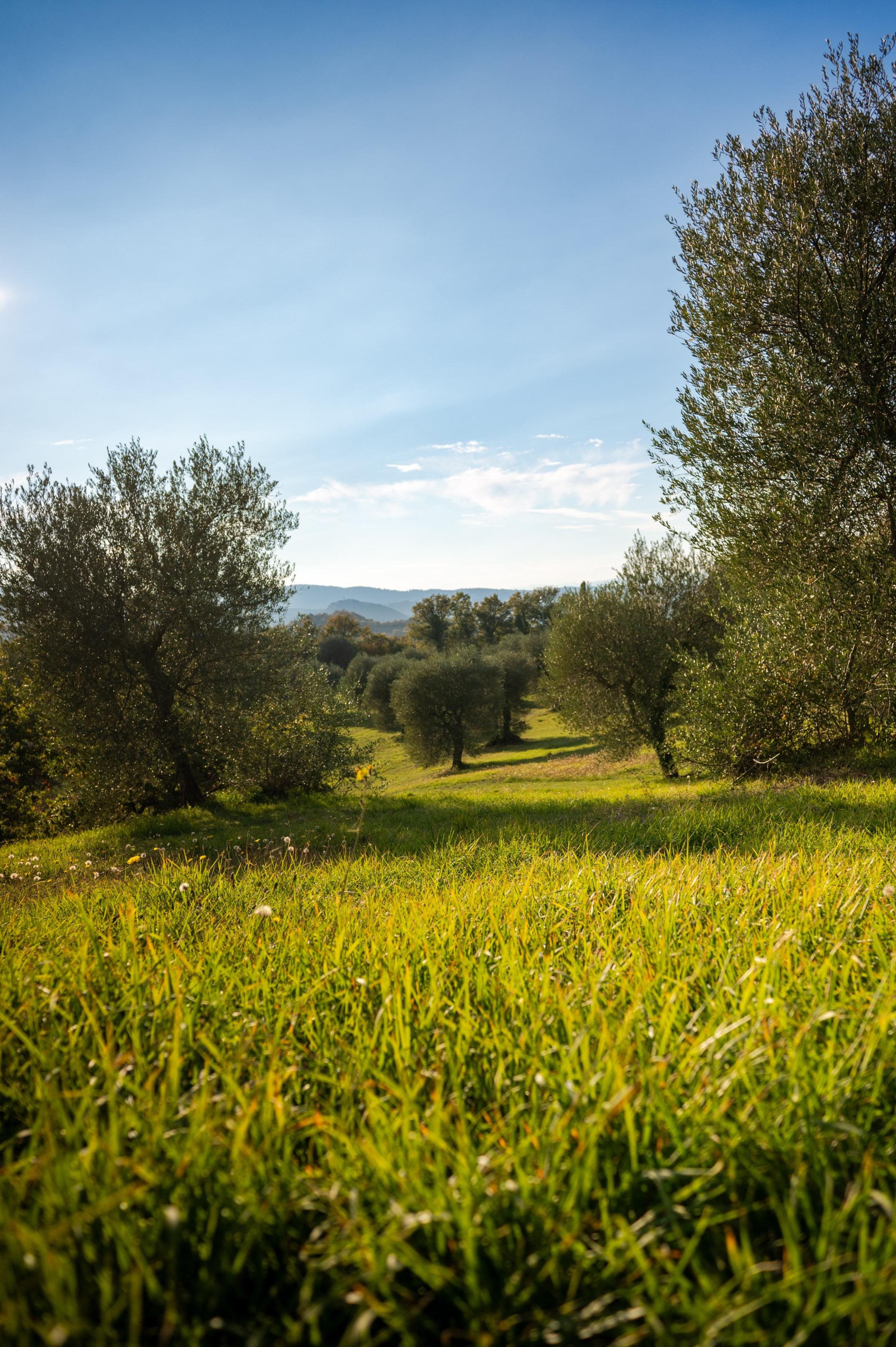 RESONANZ: Kunst, Natur & Du – Giardino di Daniel Spoerri, Toskana 🫒 slider image 3