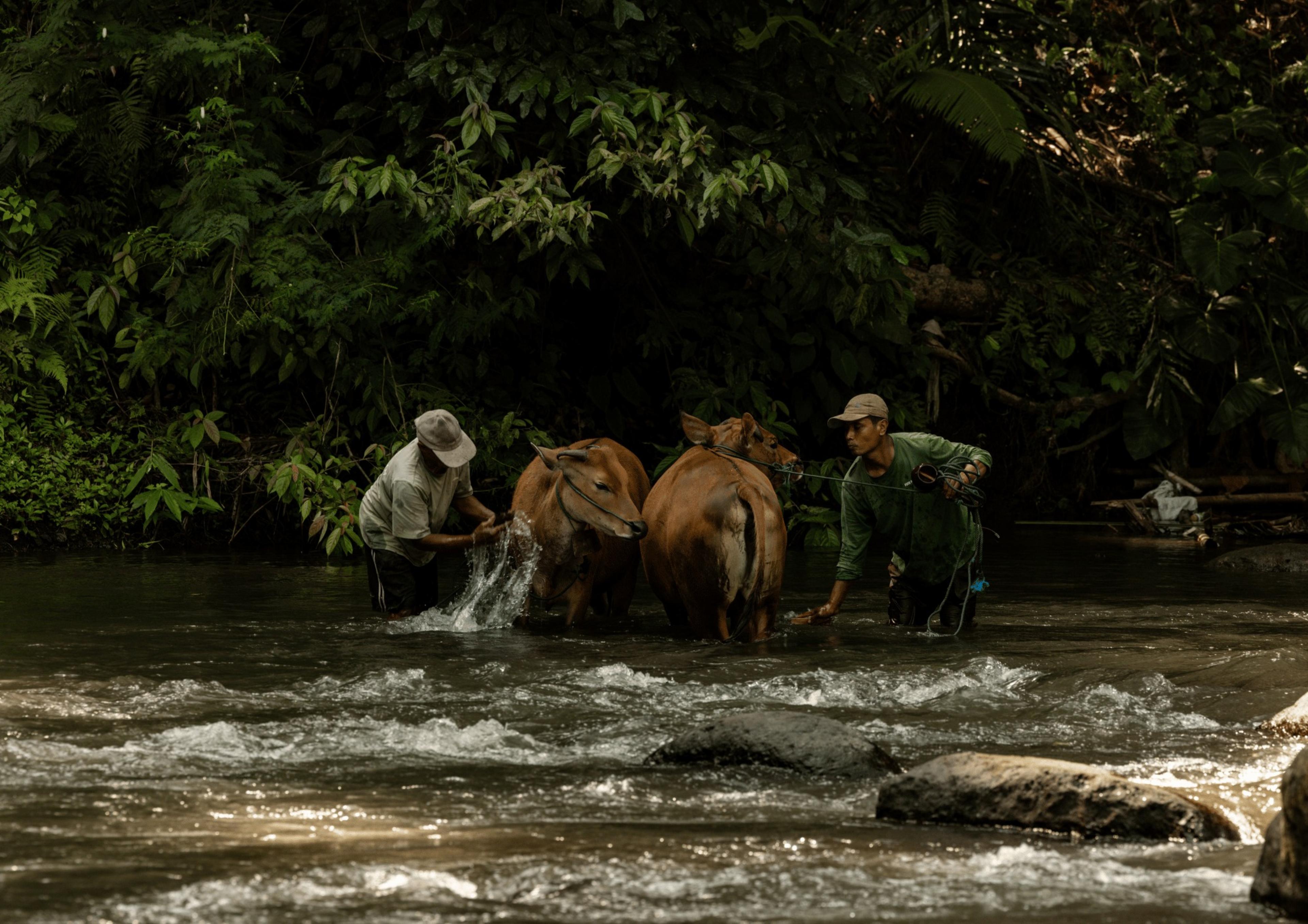 5 Day The art of renewal retreat in ubud, bali slider image 3