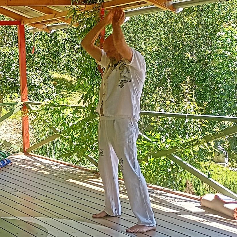 Sifu Steve Green gallery