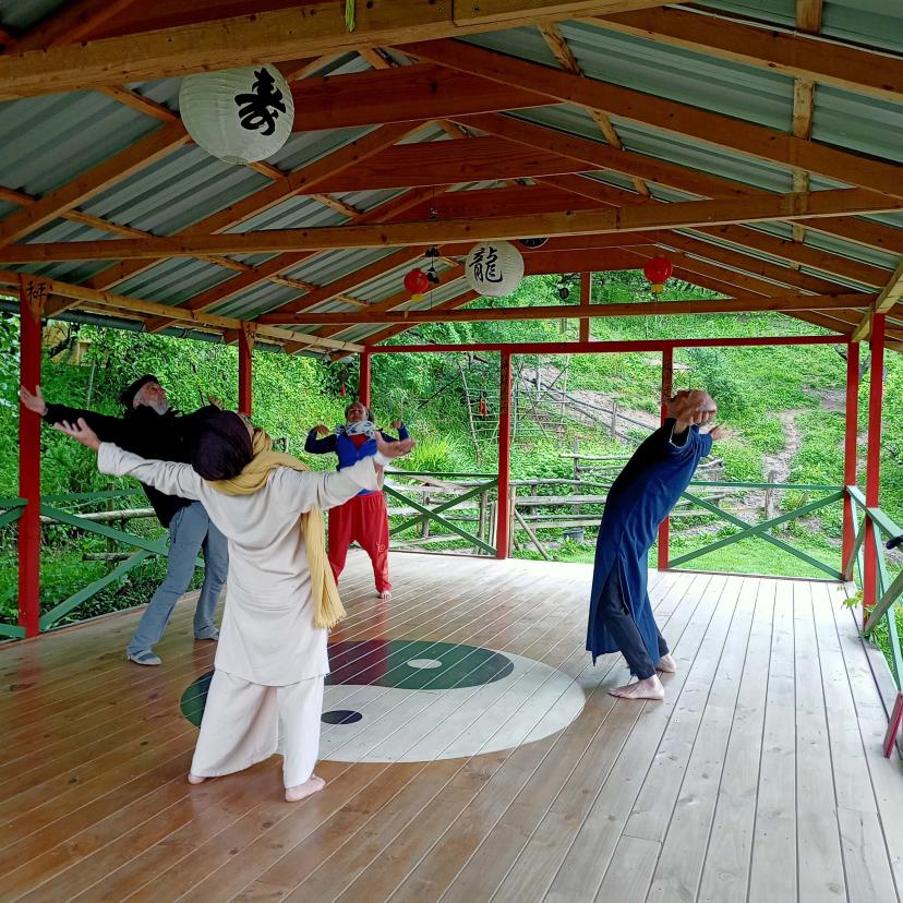 Sifu Steve Green gallery