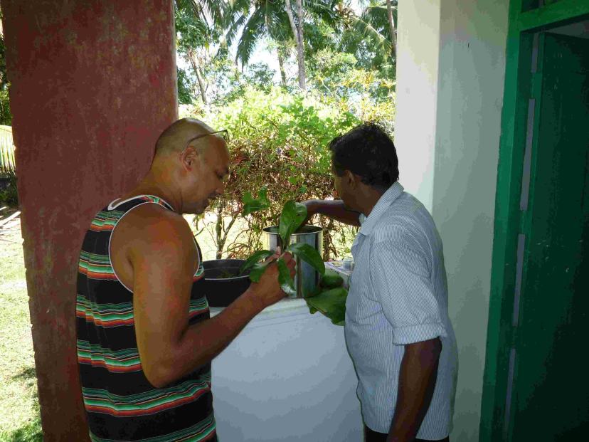 Dharshana Prasad gallery