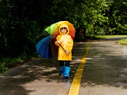 Прогноз погоды в Кочубеевском округе с 17 по 23 июня обещает частые дожди