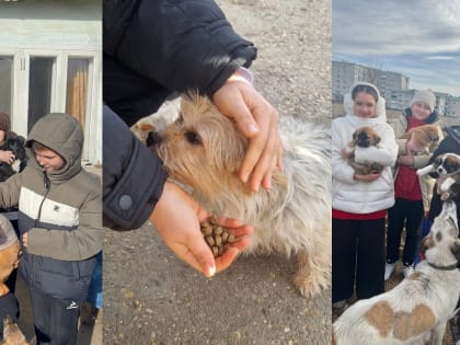 Георгиевские школьники совершают добрые дела