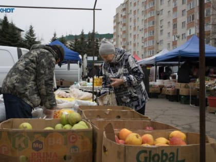 Огурцы и колбаса подорожали за неделю на Ставрополье