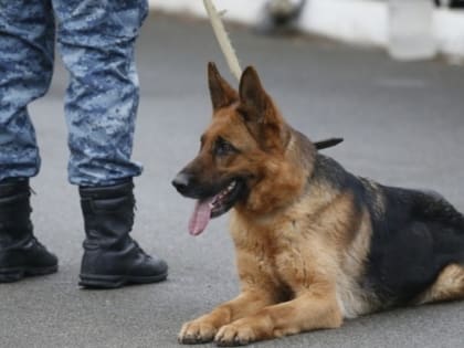 Сообщение о минировании школы получили в Кисловодске
